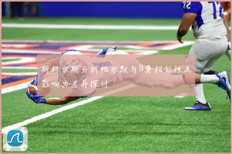 斯科尔斯分析帕尔默与B费相似性及影响力差异探讨