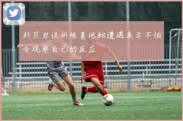 科贝尔谈训练基地蛇遭遇表示不怕会观察自己的反应